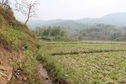 #4: View towards East from the Confluence, farmlands and hillocks, water flows along the hillock