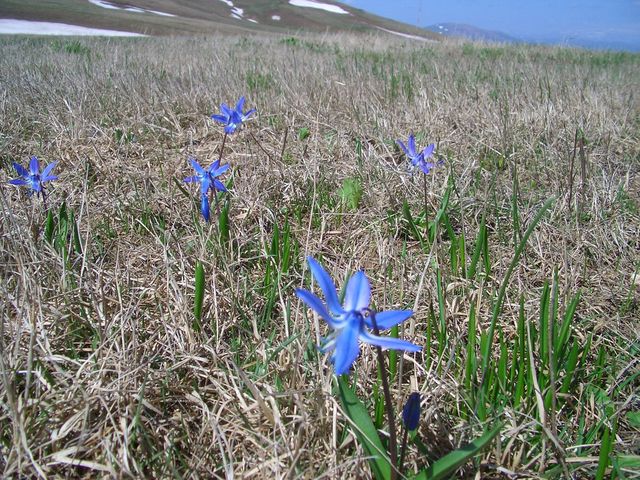 Spring in the Karackach Pass