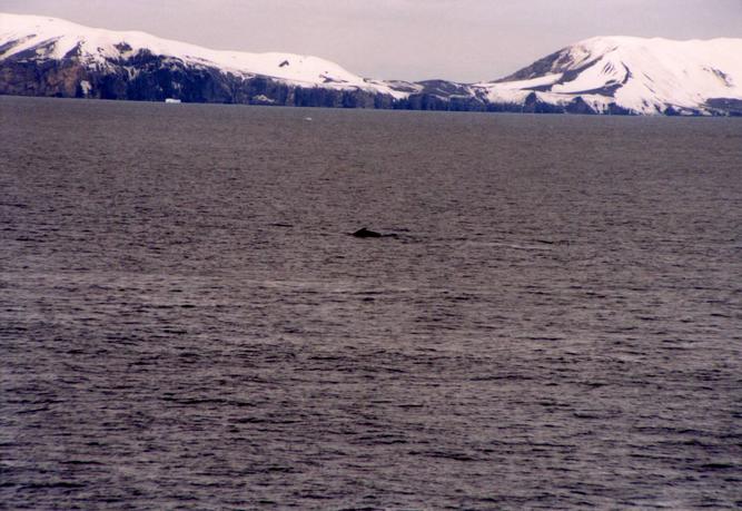 View east-south-east: Humpback Whale and Deception Island: Stonethrow Ridge (left), Vapour Col (centre)