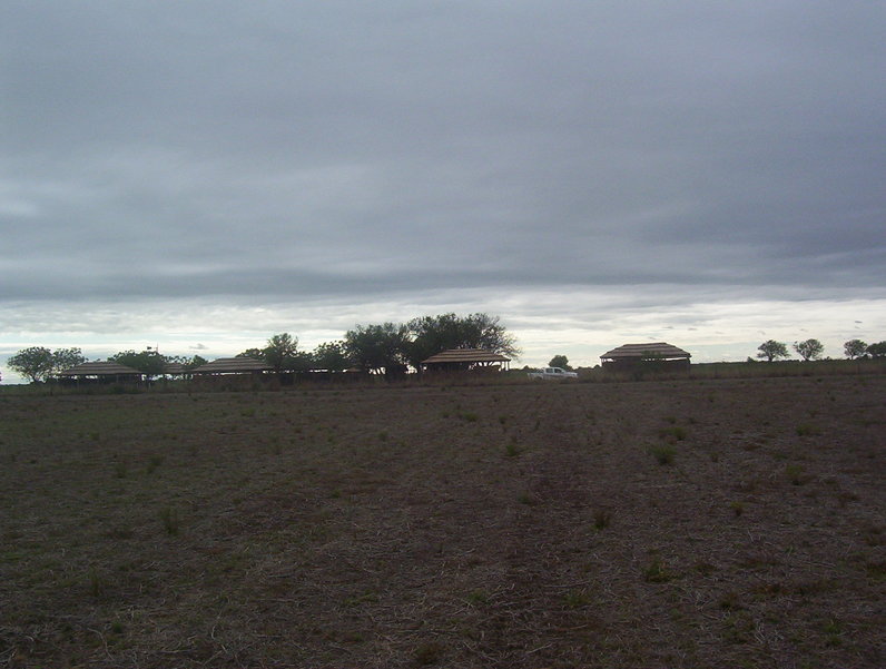 Tinglados con fardos / sheds with bales of hay