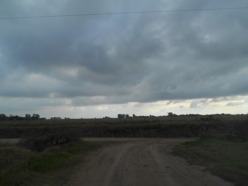Camino rural. Country road