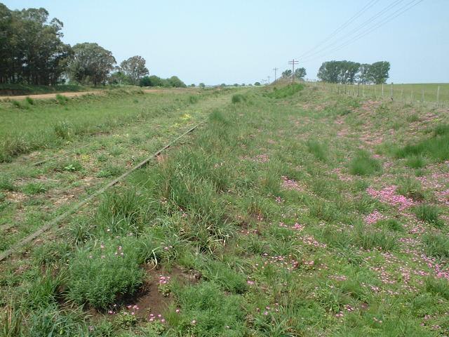 an abandoned railtrack close to the confluence