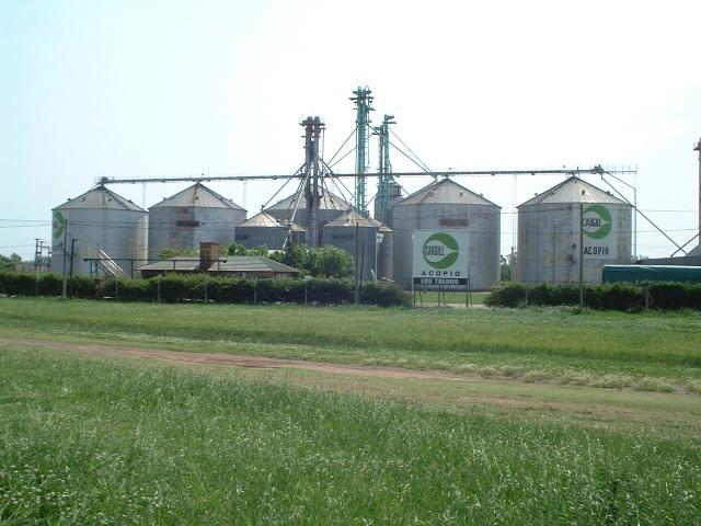 wheat is collected here for export in all over the world