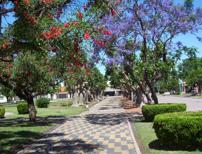 Principal Square at Gral. Viamonte - Ceibo and Jacarandá