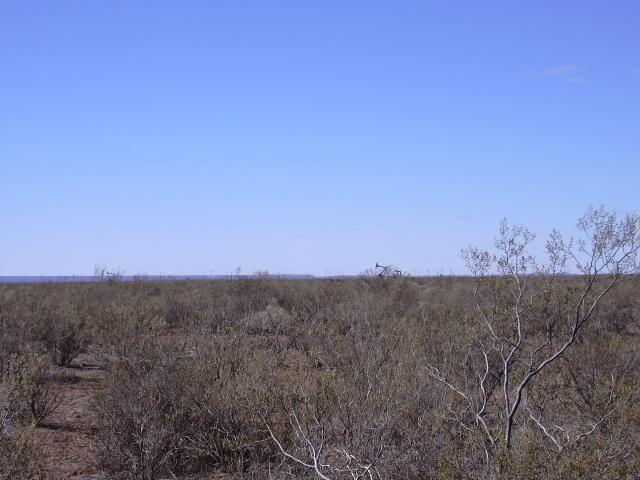 Vista Norte - North view