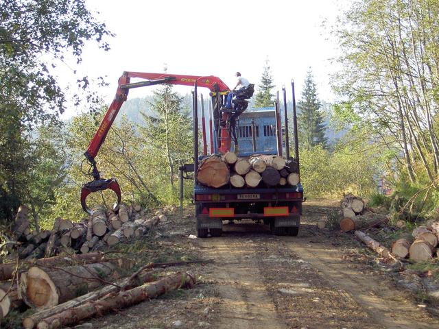 Held up by logging activities!