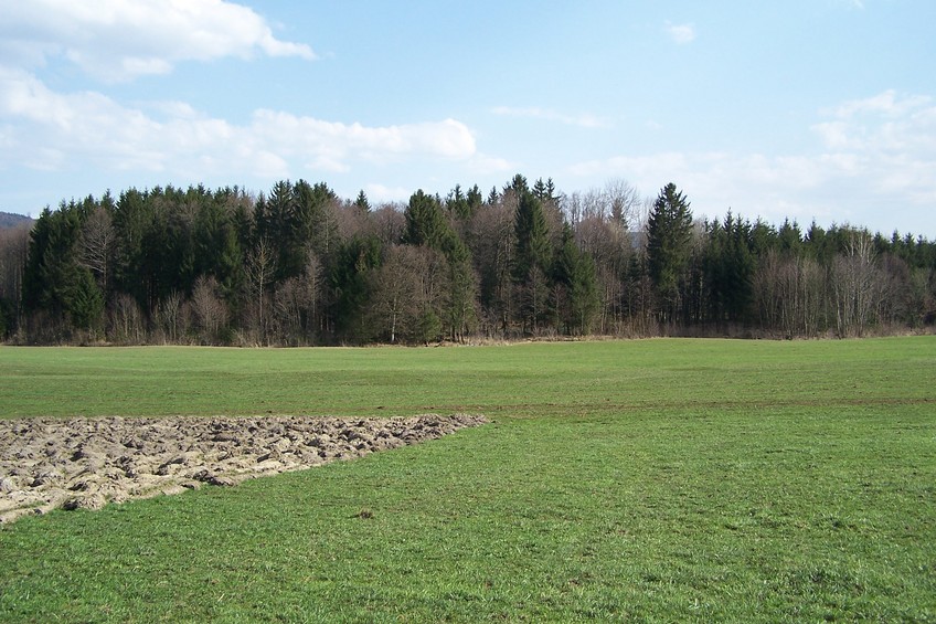 General view of the confluence (towards SE)