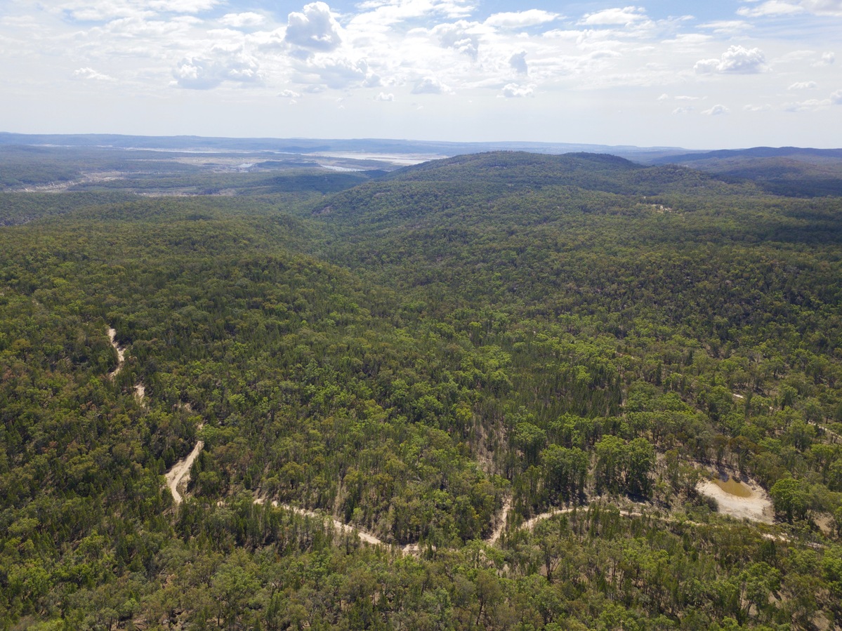 View North (towards Lake Copeton) from 120m above the point