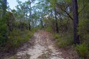 #10: The "Muddle Gully Fit" trail passes just 200 m north of the point
