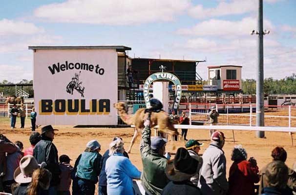 Boulia Camel Races
