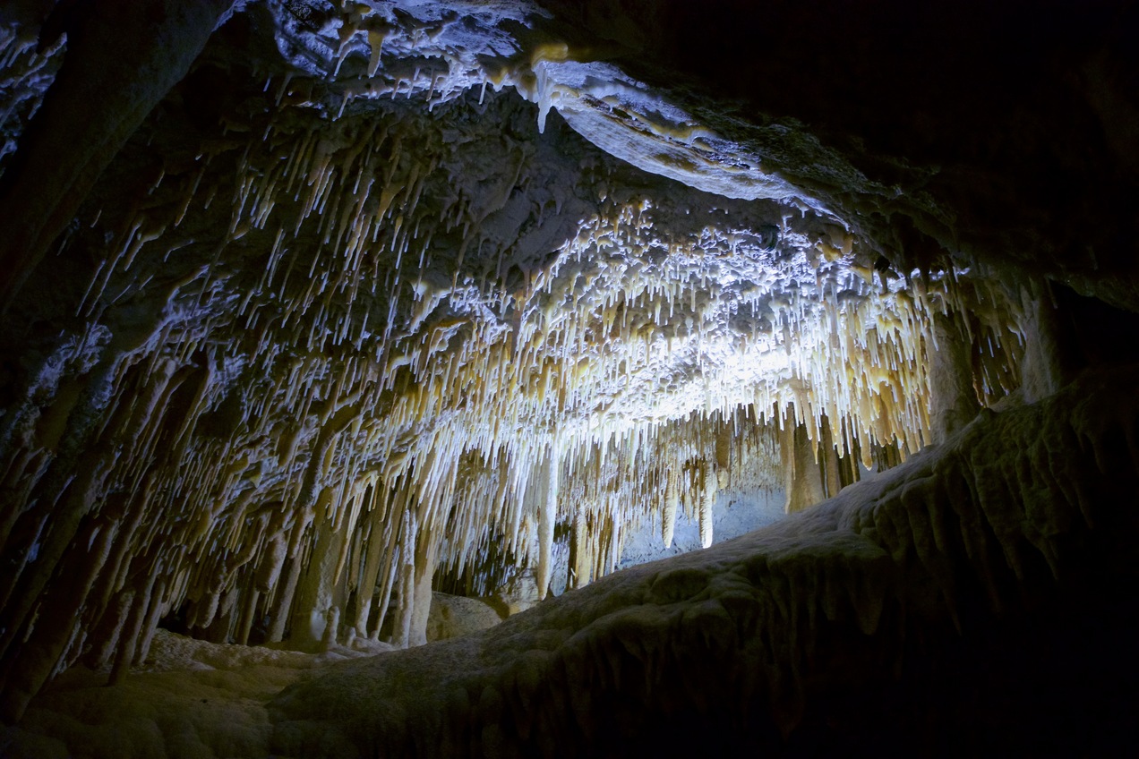 Inside Lucas Cave, one of the caves of the nearby Jenolan Caves