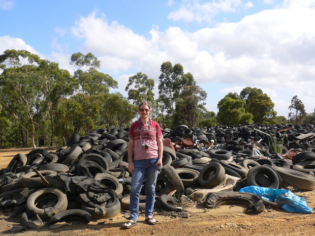 Targ in front of a large pile of old tyres