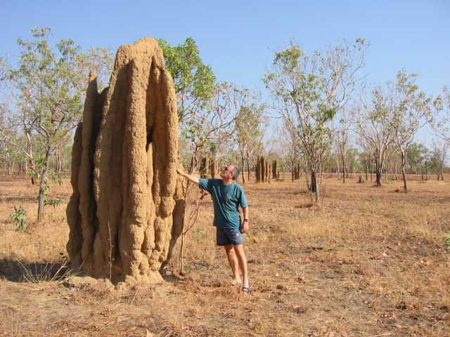 Termite hills in the Litchfield National Park