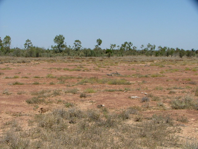 View of site from the North