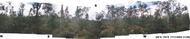 #3: 360° Panorama from the Confluence
