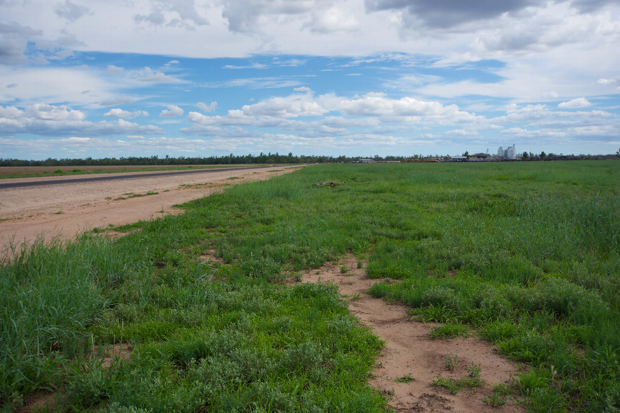 The confluence point lies next to a rural road.  (This is also a view to the South, towards a large feedlot, 800m away.)