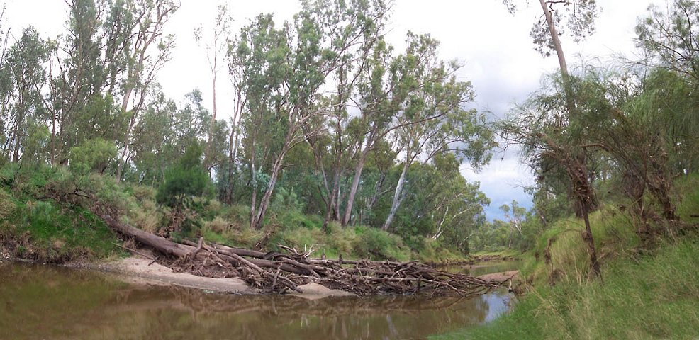 Flood debris on the river