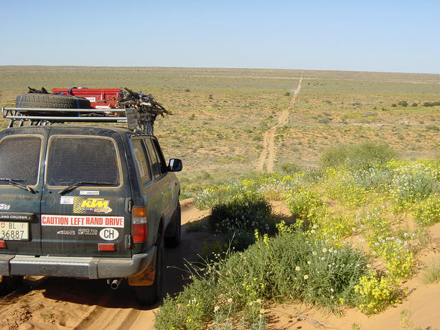 On the Rig Road in the Simpson Desert