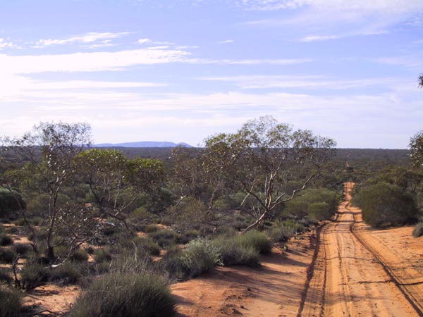 Looking towards Mt Finke from Goog's Track, taken south east of the confluence