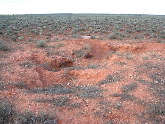 General area, showing the Wombat diggings