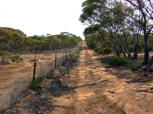 Australian Dog Fence near the Confluence Area