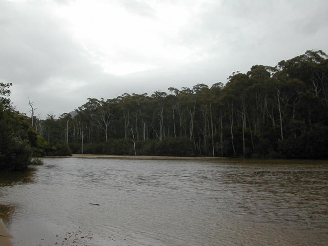 Ringarooma River