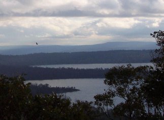 #1: An eagle over Arthur's Lake