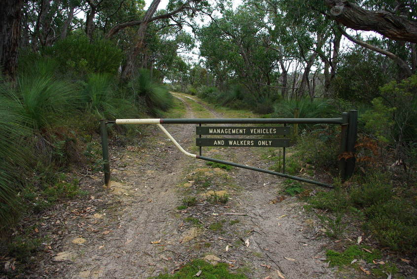 The track that we followed for 600 metres before entering the bush