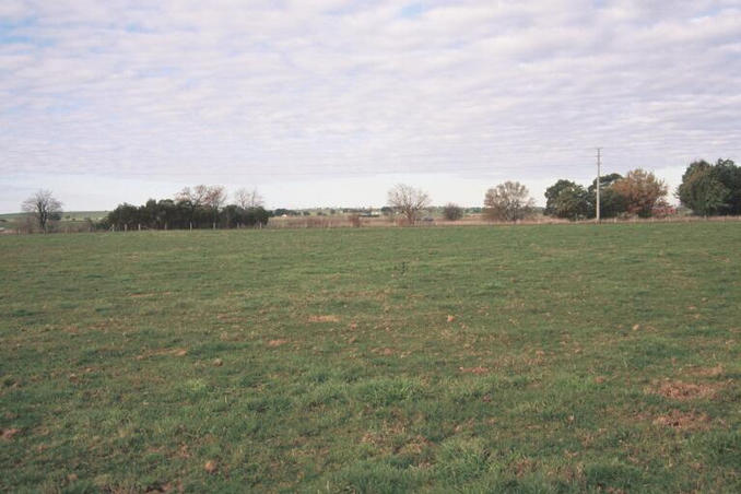 View to the east, toward the Maffra-Sale Road.