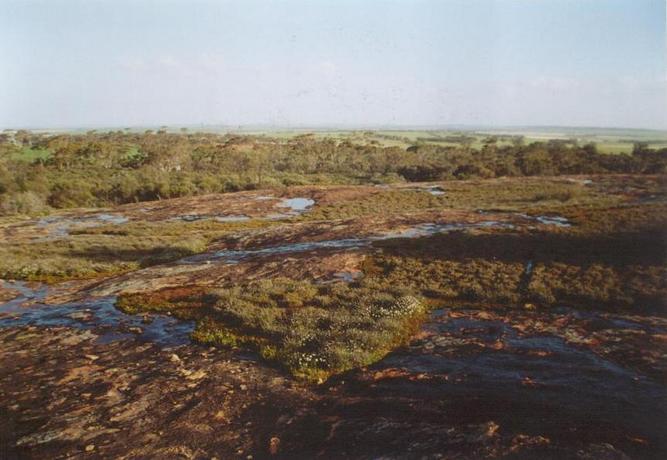 View South from Uberin rock located approx. 1 km West of confluence