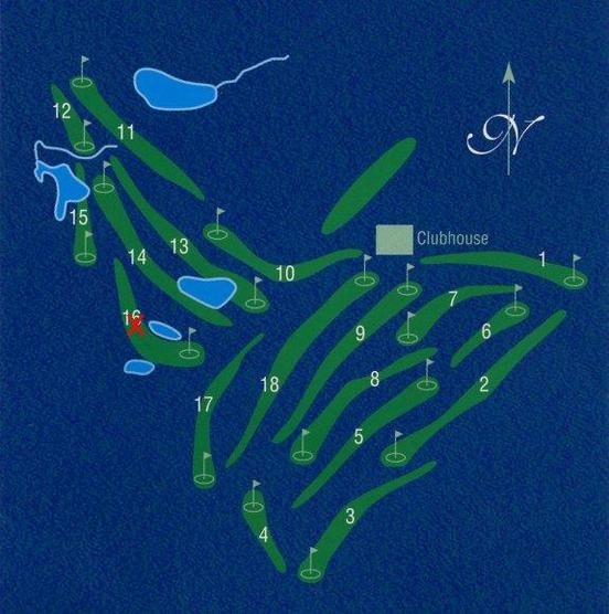 X marks the spot - map of the golfcourse showing the confluence position