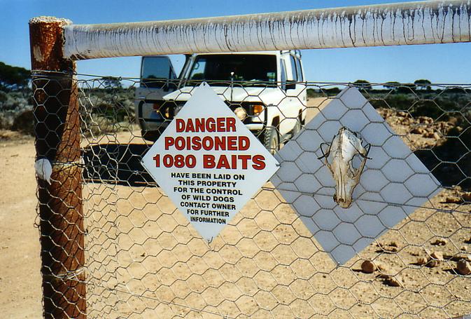 Dingo fence and warning signs