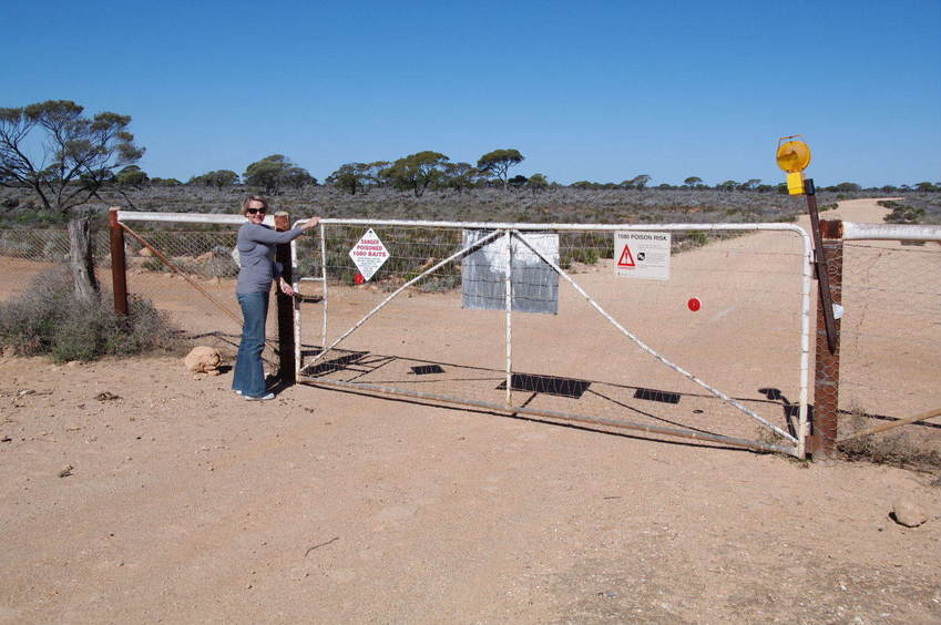 The Dingo fence that you have to pass through to reach the site