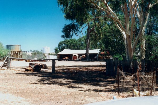 The farm-yard