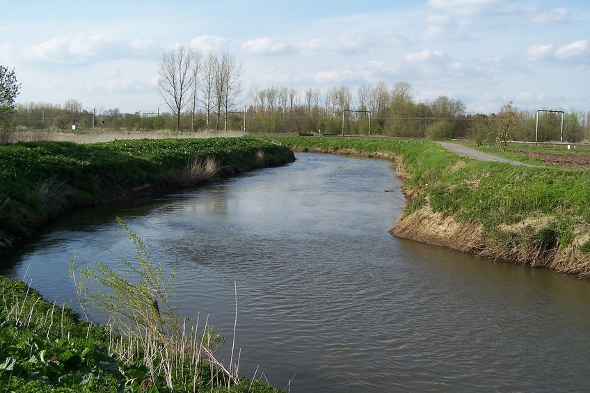 The Demer river