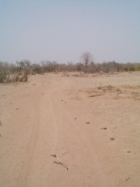 Wilderness road