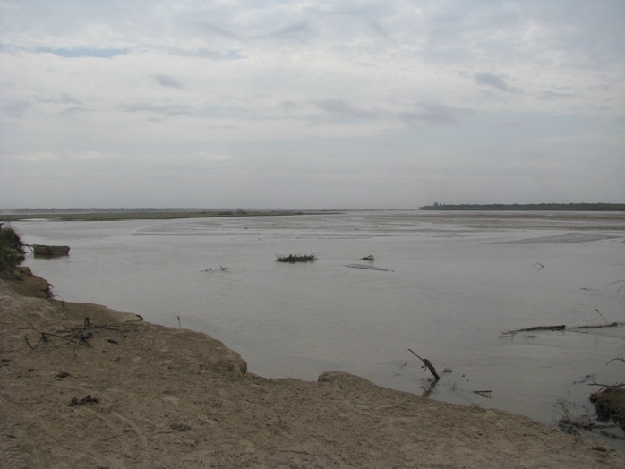 R&iacute;o Pilcomayo cerca de D&acute;Orbigni. Picomayo river close to D&acute;Orbigni