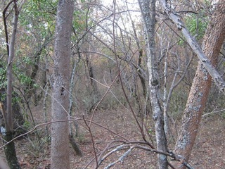 #1: Vista Norte. North view