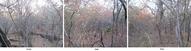 #2: Vistas Oeste, Sur, Este. West, South and East views