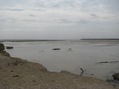 #7: R&iacute;o Pilcomayo cerca de D&acute;Orbigni. Picomayo river close to D&acute;Orbigni