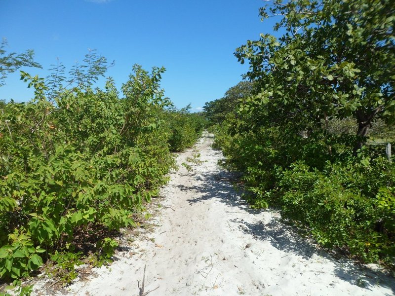 Caminhada parte 1: estrada de areia - walking part 1: sand road