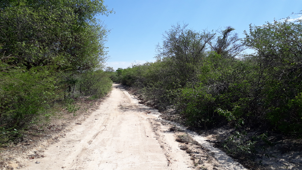 A estrada de terra passa a 170 metros da confluência - the dirt road passes 170 meters close to the confluence