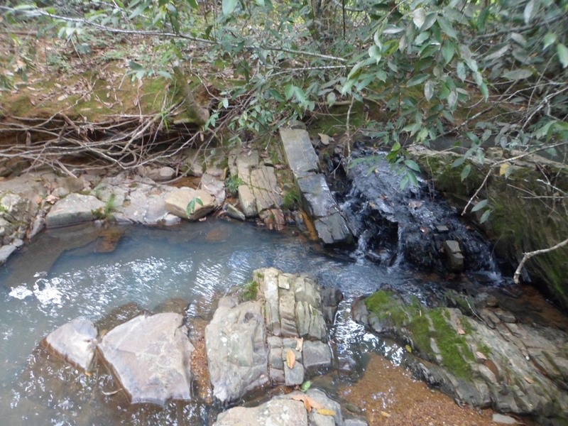 ... que protege um riacho - ... that protects a stream