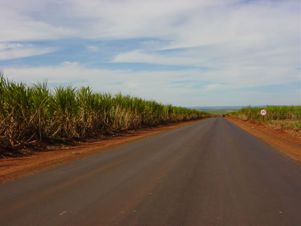 Estrada para a usina (Road to the plant)