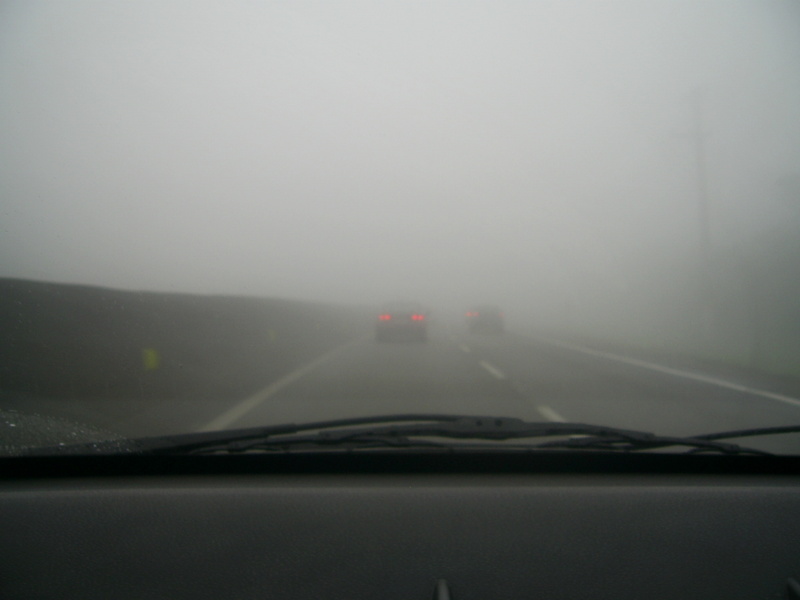 Neblina na Serra do Mar - mist in Serra do Mar (Sea Mountains)