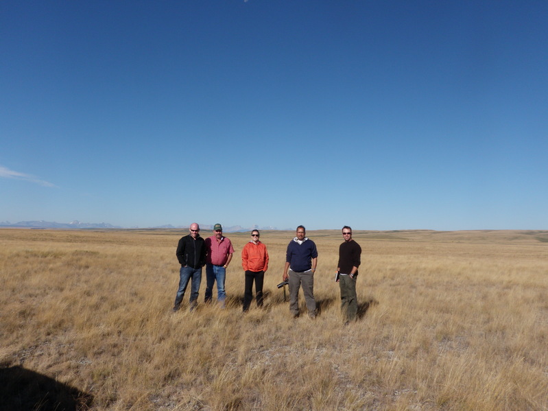 Fescue Reclamation Project Group
