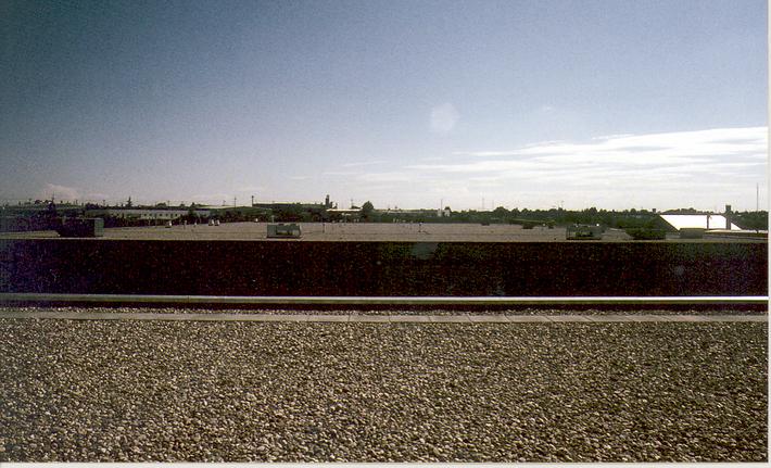 On roof looking East