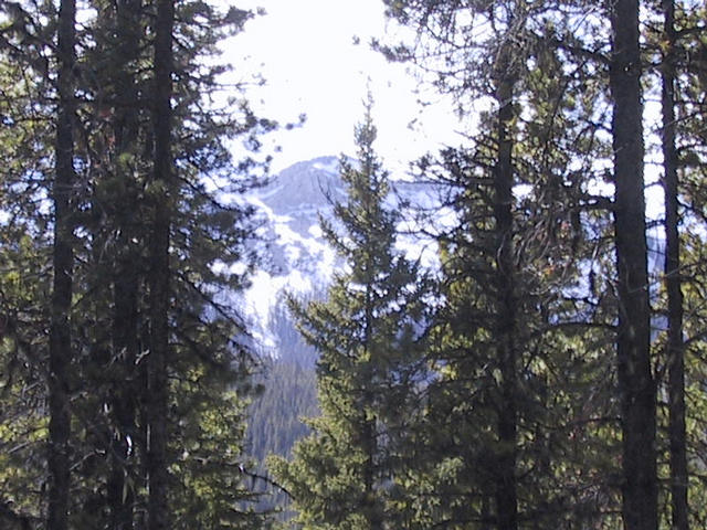 Picture of the distant view of the mountains (Fisher Range)