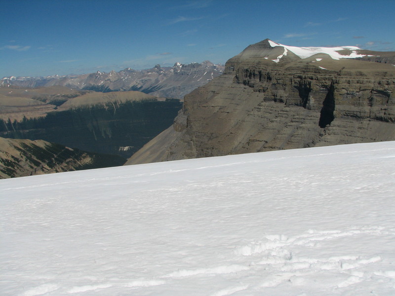 The icefield at the confluence point with Mount Amery in the background