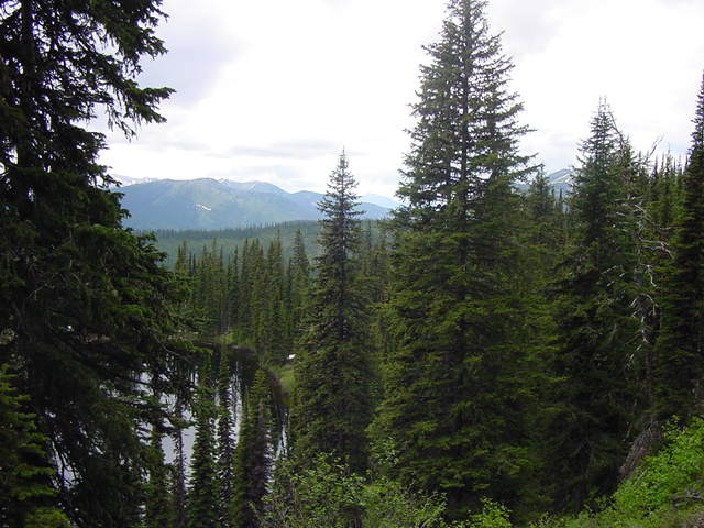 View to south over montane lake